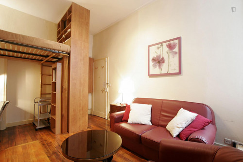 Spacious studio flat near Arts et Métiers metro station - Gallery - 16