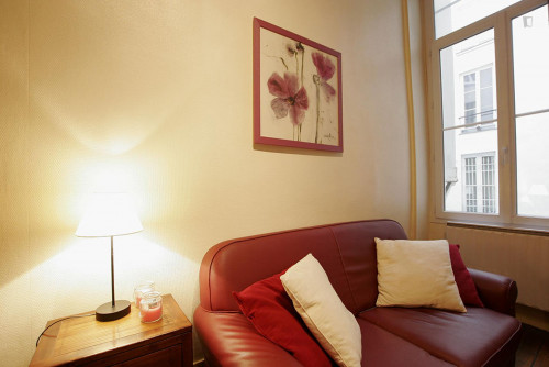 Spacious studio flat near Arts et Métiers metro station - Gallery - 19