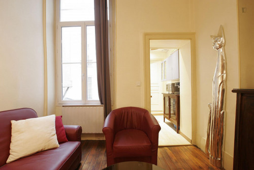 Spacious studio flat near Arts et Métiers metro station - Gallery - 17