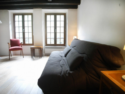 Spacious studio apartment in St Victor - Gallery - 15