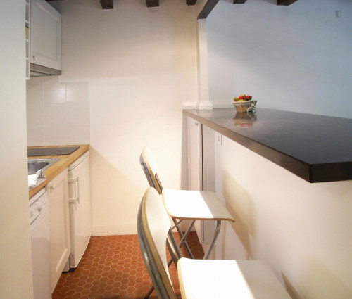 Spacious studio apartment in St Victor - Gallery - 8