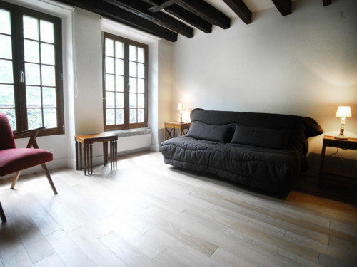 Spacious studio apartment in St Victor - Gallery - 10