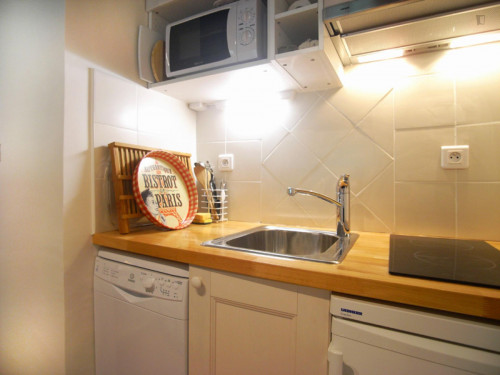 Spacious studio apartment in St Victor - Gallery - 7