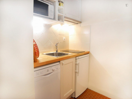 Spacious studio apartment in St Victor - Gallery - 9