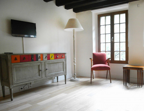 Spacious studio apartment in St Victor - Gallery - 12