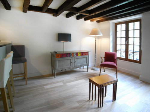 Spacious studio apartment in St Victor - Gallery - 11