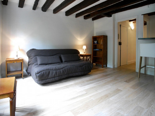 Spacious studio apartment in St Victor - Gallery - 13