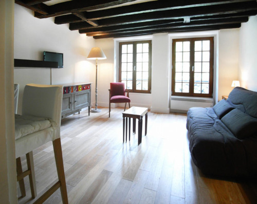 Spacious studio apartment in St Victor - Gallery - 17