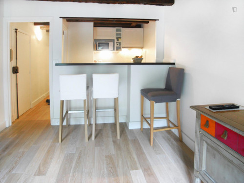 Spacious studio apartment in St Victor - Gallery - 6