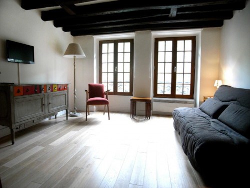 Spacious studio apartment in St Victor - Gallery - 18