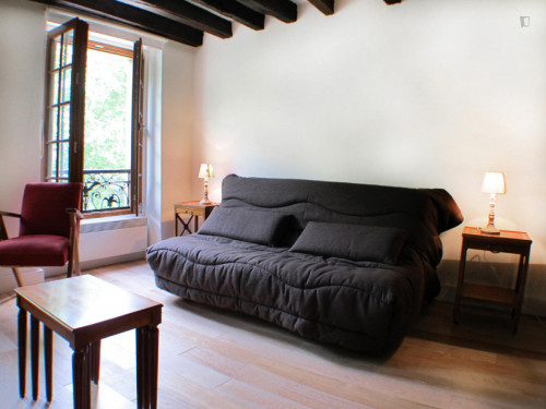 Spacious studio apartment in St Victor - Gallery - 16