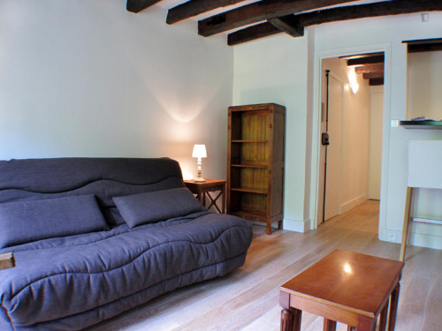Spacious studio apartment in St Victor - Gallery - 14