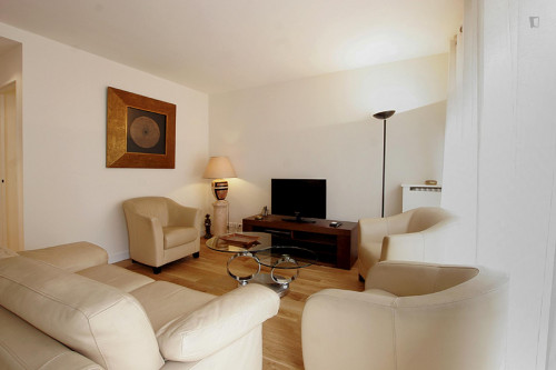 Charming 2-bedroom apartment near Tour Eiffel - Gallery - 8
