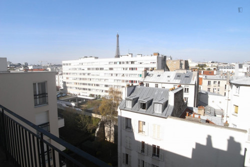 Classy 2-bedroom apartment in Grenelle, near Avenue Émile Zola metro station