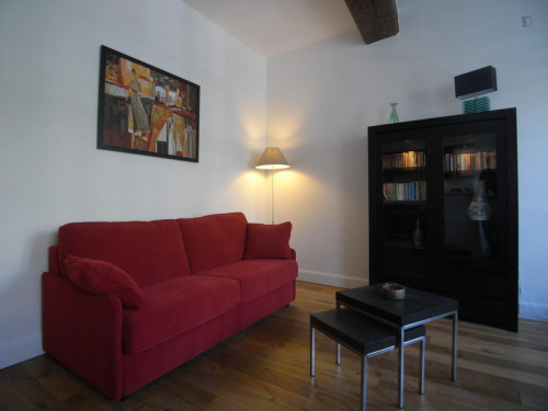 Charming 1-bedroom flat near Mabillon metro station