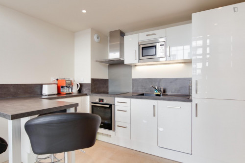 Nice studio flat near Filles du Calvaire metro station - Gallery - 8