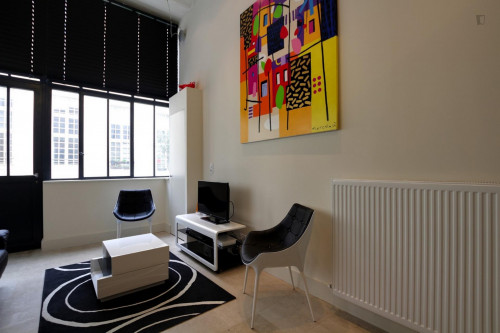 Nice studio flat near Filles du Calvaire metro station - Gallery - 6