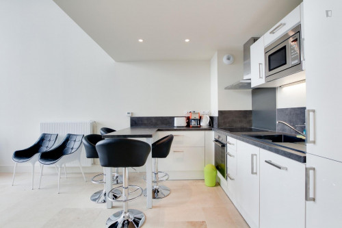 Nice studio flat near Filles du Calvaire metro station - Gallery - 7