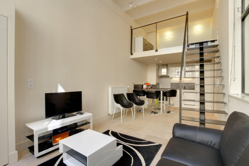 Nice studio flat near Filles du Calvaire metro station - Gallery - 2