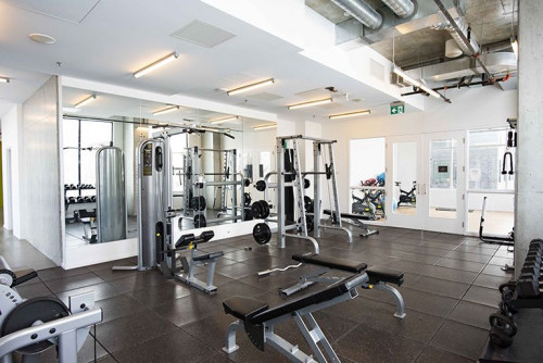 Little Italy  - Gallery -  5