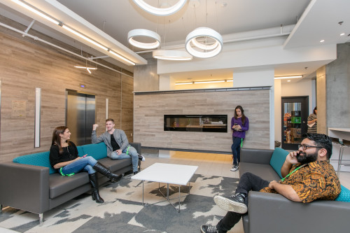 Little Italy  - Gallery -  3