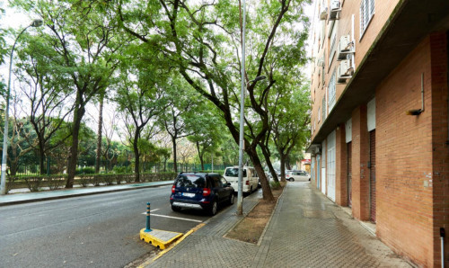 Spacious single bedroom in Tiro de Línea