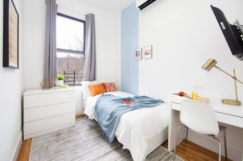 Fort Green House - Gallery - 28