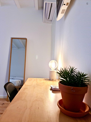 Very cosy studio in Alta Universitária