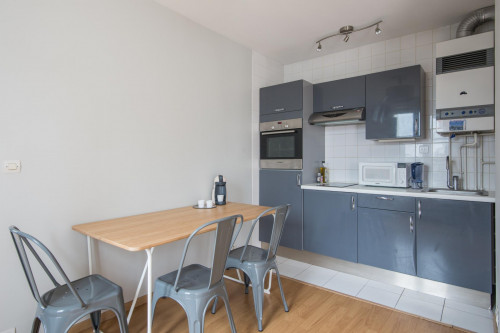Bright 1-bedroom apartment near Sevres - Babylone metro station - Gallery - 7