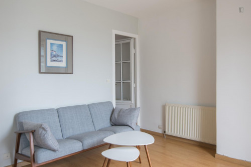 Bright 1-bedroom apartment near Sevres - Babylone metro station