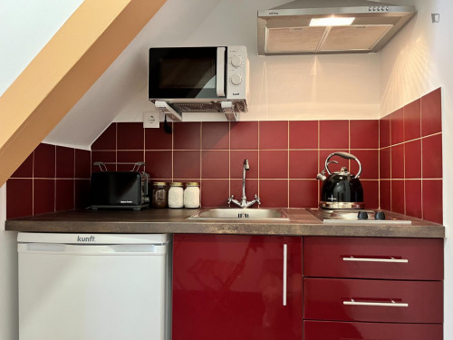 Charming 1-bedroom flat close Universaty