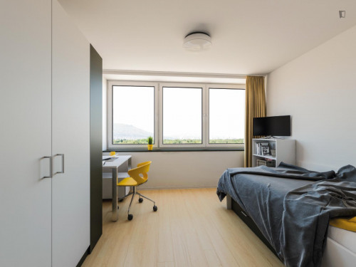 Very cosy single bedroom in Ostfildern