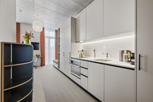 Lorzenparkstrasse Collective - Gallery - 26