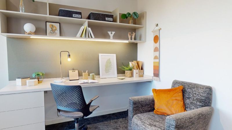  Gold Studio  -  IQ Vega  - Gallery -  12