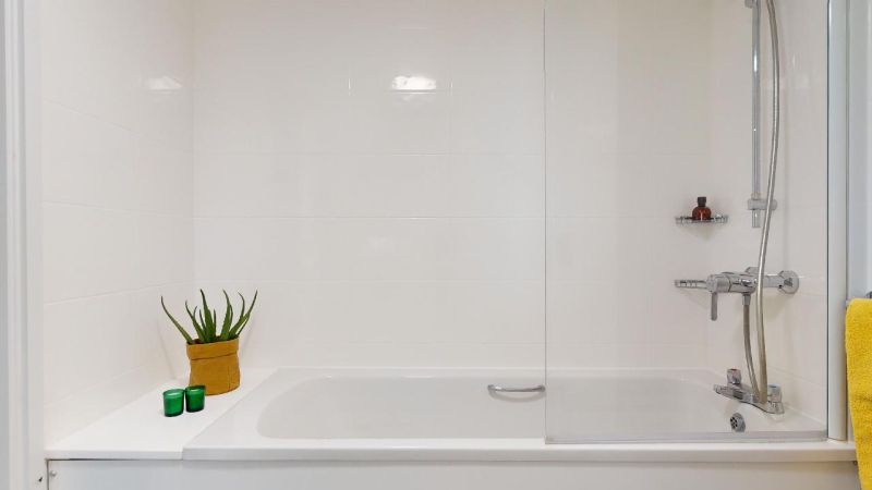  Platinum Studio  -  IQ Vega  - Gallery -  7