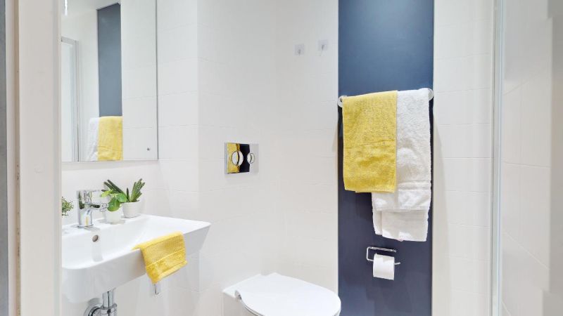  Silver En-Suite Plus  -  IQ Vega  - Gallery -  6