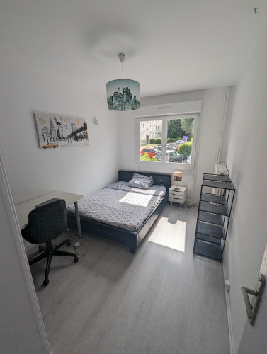 Private bedroom in nice flat shared with 2 french students next to the metro - Gallery - 2