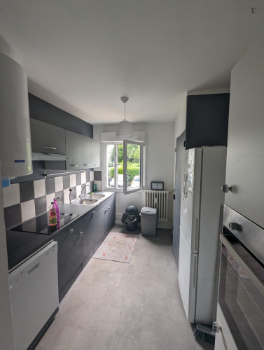Private bedroom in nice flat shared with 2 french students next to the metro - Gallery - 8