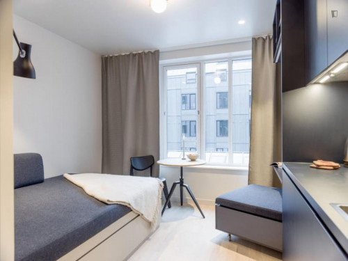 Modern studio close to Folkets Park