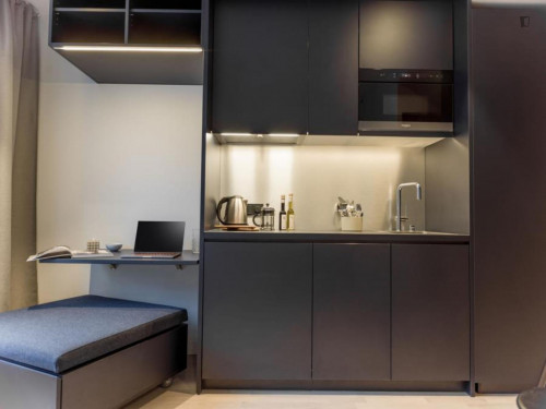 Modern studio close to Folkets Park