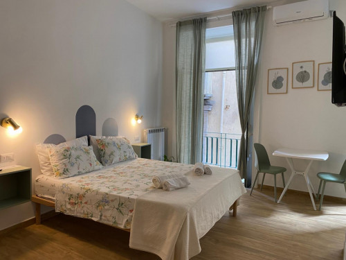Cosy Studio near Università Federico II/Orientale