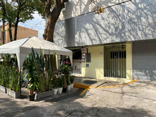 Aguila Collective - Gallery - 101