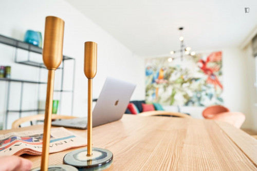 Luminous Double Bedroom Apartment in Brussels