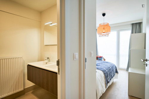 Luminous Double Bedroom Apartment in Brussels