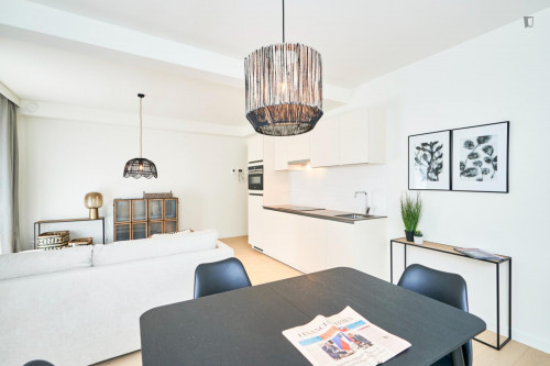 Modern 1-bedroom apartment in Brussels