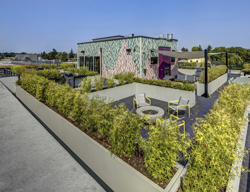 Hub U District Seattle - Gallery - 6