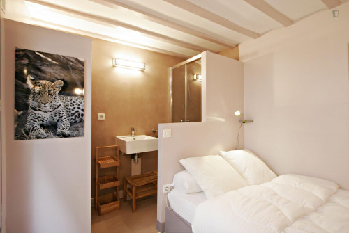 Cosy studio apartment near Arts et Métiers metro station - Gallery - 17