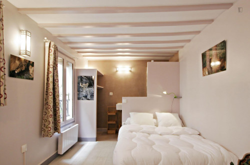 Cosy studio apartment near Arts et Métiers metro station - Gallery - 16