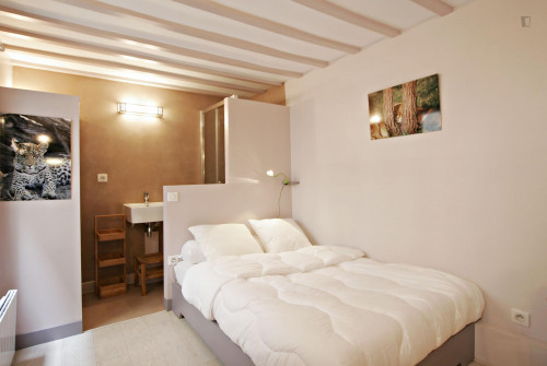 Cosy studio apartment near Arts et Métiers metro station - Gallery - 10