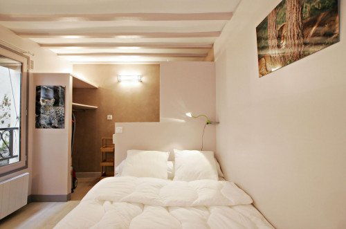 Cosy studio apartment near Arts et Métiers metro station - Gallery - 15